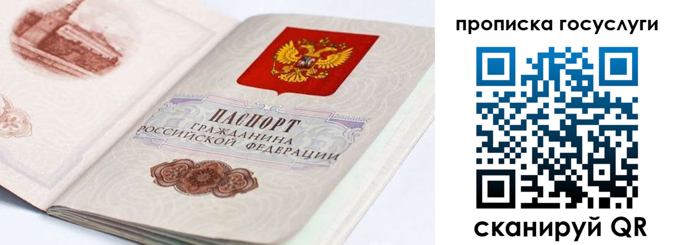 прописка гарантия в Тавде